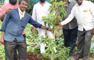 मनसेच्या वतीने राज ठाकरेंच्या वाढदिवसानिमित्त यमूनानगर व साईनाथनगर भागात वृक्षारोपण…