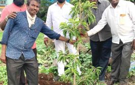 मनसेच्या वतीने राज ठाकरेंच्या वाढदिवसानिमित्त यमूनानगर व साईनाथनगर भागात वृक्षारोपण…