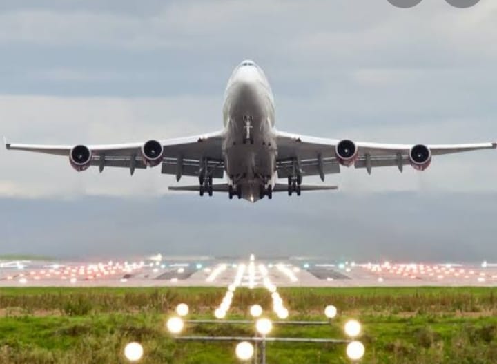 *आंतरराष्ट्रीय विमानांवर ३१ जानेवारीपर्यंत बंदी...*