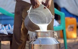 पेट्रोल, डिझेल आणि गॅसनंतर आता 'या' शहरात दुधाचे दर प्रतिलिटर 12 रुपयांपर्यंत वाढू शकतात, काय कारण आहे ते जाणून घ्या