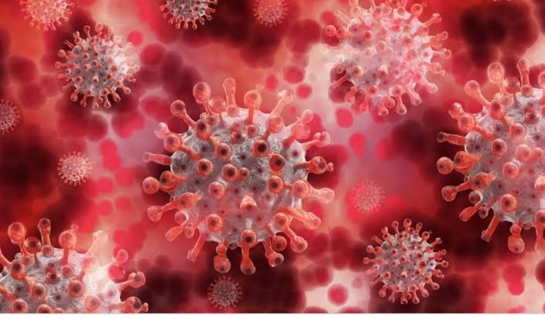 पुणे विभागातील 6 लाख 60 हजार 776 कोरोना बाधित रुग्ण बरे होऊन घरी