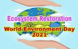 जागतिक पर्यावरण दिवसाच्या पूर्व संध्येला वेबिनार 'तेर पॉलिसी सेंटर' च्या वतीने आयोजन