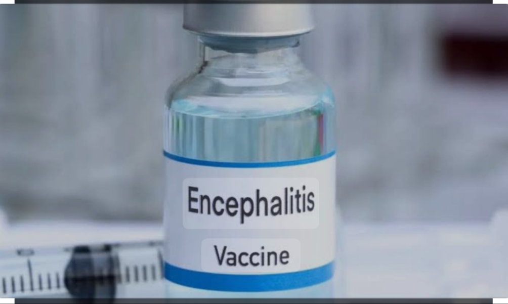 *पिंपरी चिंचवडमध्ये १ मार्चपासून जापनीज एन्सेफलायटीस प्रतिबंधक लसीकरण मोहीम*