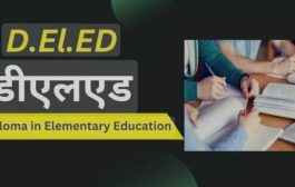 *डी. एल. एड्. परीक्षेचा निकाल जाहीर*