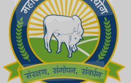 *गोसेवा आयोगाच्या पाठीशी शासन खंबीर पणे उभे*                                               *-- पशुसंवर्धन मंत्री पंकजा मुंडे*