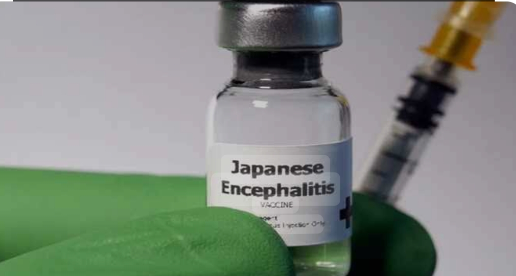 *पिंपरी चिंचवड महानगरपालिकेच्या वैद्यकीय विभागाची लसीकरण मोहीम होत आहे यशस्वी*