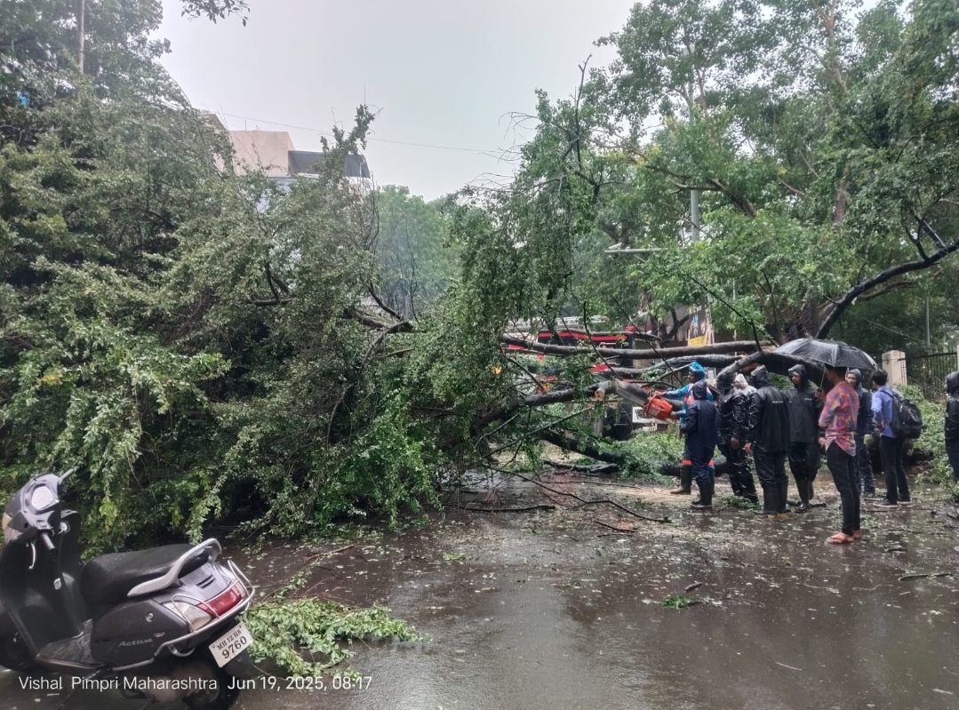 *रस्तावर पडलेले झाड हटवत  वाहतूक केली सुरक्षित*