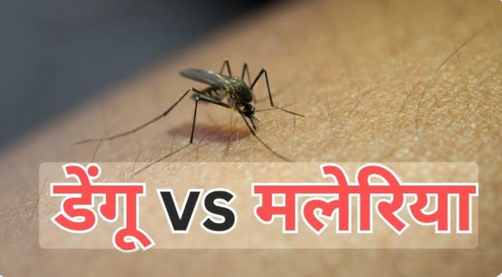 *डेंग्यू, मलेरिया सारखे कीटकजन्य आजार रोखण्यासाठी पाच लाखांपेक्षा जास्त घरांची करण्यात आली तपासणी*