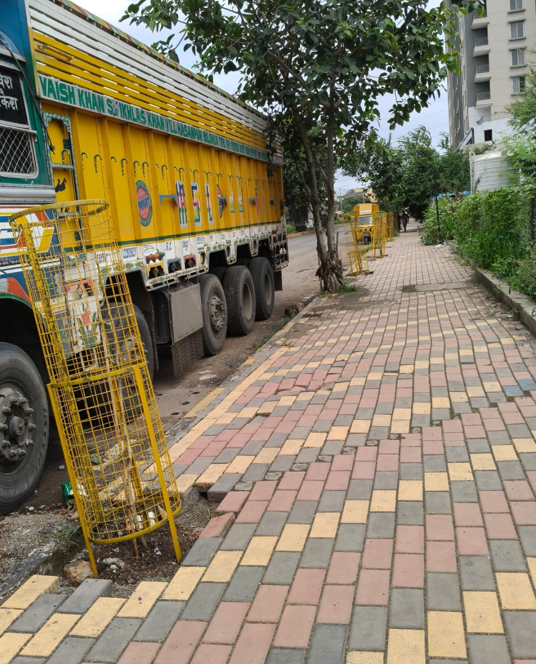 दर १० मीटरला एक देशी झाड! शहर हरित करण्यासाठी महापालिकेचा नाविन्यपूर्ण उपक्रम