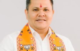 शहरात महिला सुरक्षा आणि पोलीस गस्त वाढवा : - सभापती अभिषेक बारणे